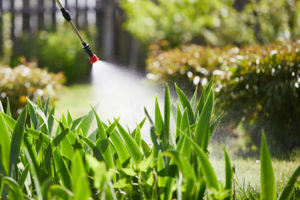 24/7 Emergency Mosquito Control experts in Emerald Mountain, AL