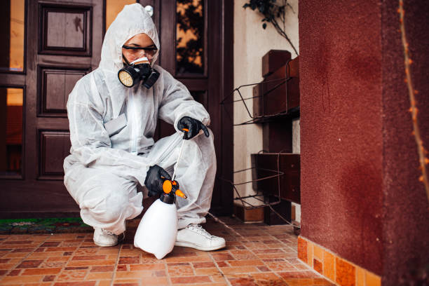 Reliable Mosquito Control contractor in Emerald Mountain, AL by Show Me Pest Control